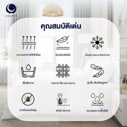 ชุดเครื่องนอน 6 ฟุต 6 ชิ้น CHARM ผ้าซาตินลายริ้ว สีเบจ_6